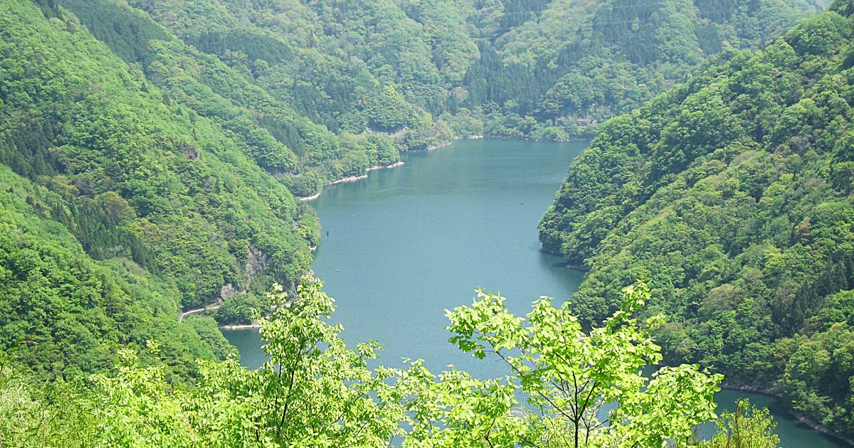 農事組合法人 西山維進会